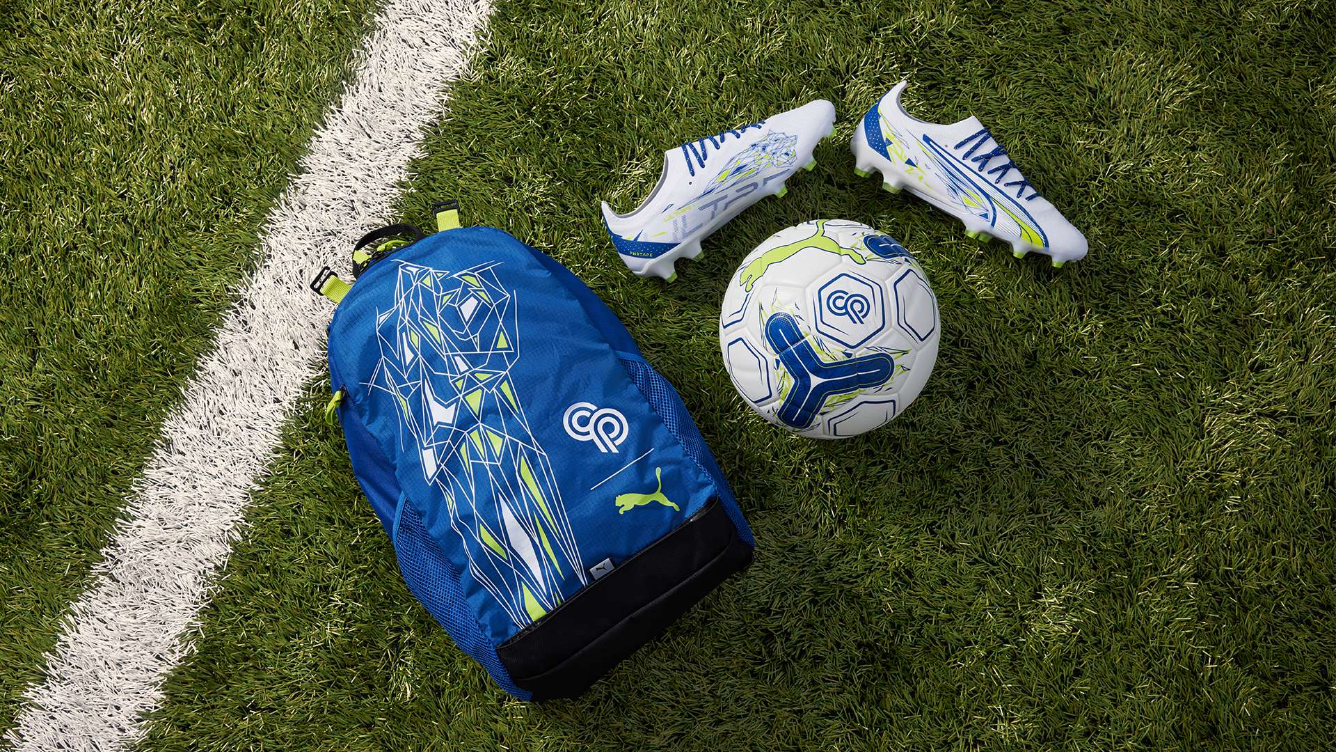 需以认真和 需以认真和