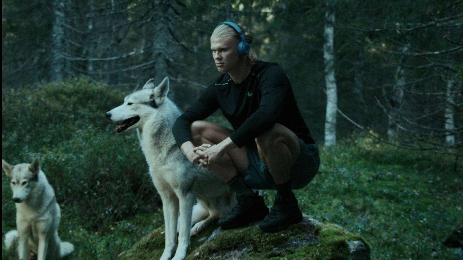 了激烈交锋 了激烈交锋