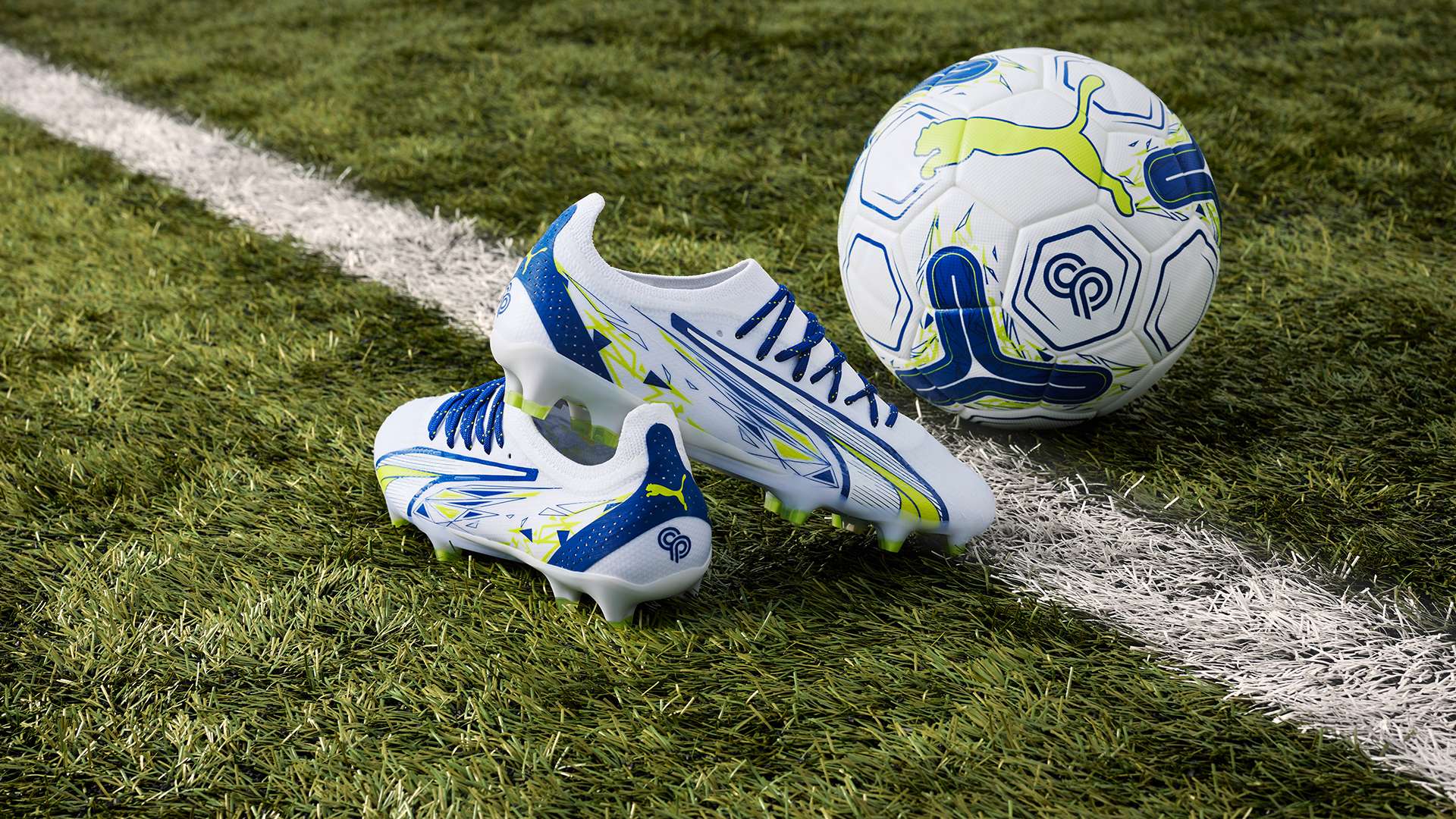 吸引了众多 吸引了众多